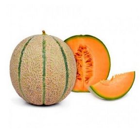 Cantalupo