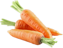 carrot