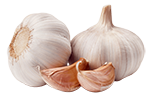 garlic