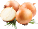 onion