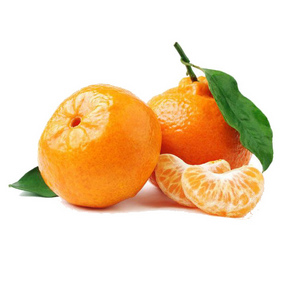 Satsuma