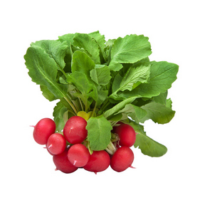 Radish round red